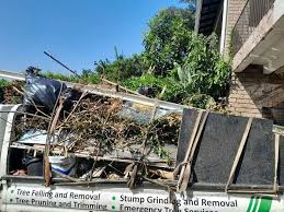 Best Demolition Debris Removal  in North Fork, AZ